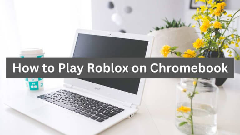 How to Play Roblox on Your Chromebook in 2024